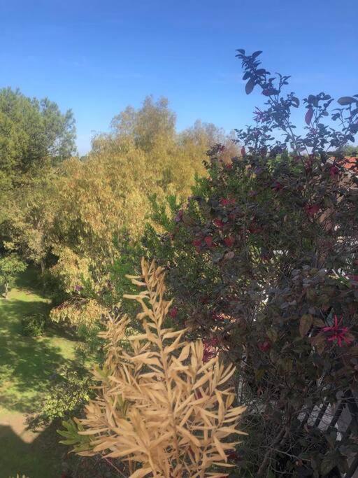 Casa Incantevole Con Vista Parco Appia Antica Villa Roma Eksteriør bilde
